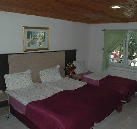 Hotel Altinkum 3*