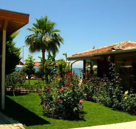 Altinkum